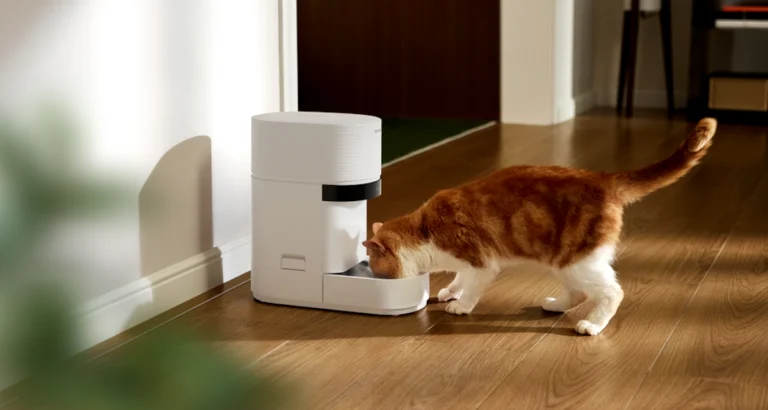 Petlibro lança alimentador inteligente com câmera de IA para casas com múltiplos gatos